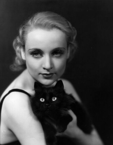 Carole Lombard Tags carole lombard Recent Updated 3 years ago Created 