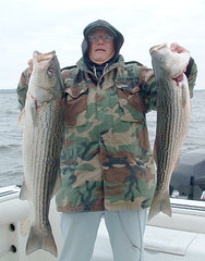 Cold weather...hot Stripers!