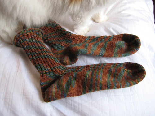 RR socks cat 022608