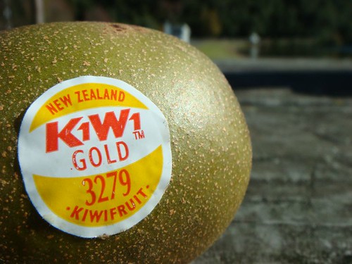Kiwi fruit in the Land of the Kiwis