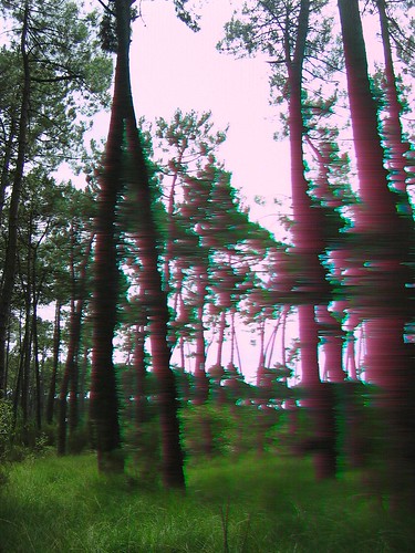 a forest (psychedelic)