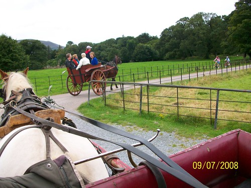 Ireland - Killarney National Park - Jaunting Car Ride