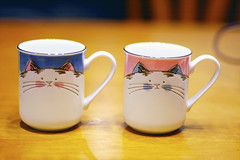 11/28/08 kitty cups