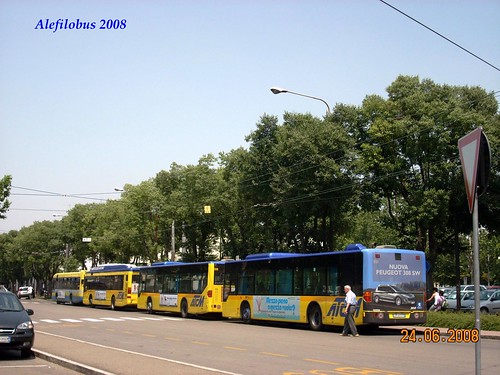 autobus vari alle Autolinee