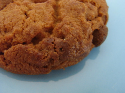 08-27 peanut butter cookie