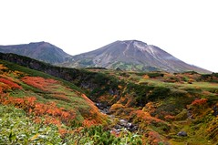 ピウケナイ沢越しに旭岳と熊ヶ岳を望む
