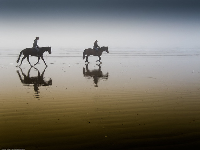 Two equestrian riders, girls on horseback, in low tide reflections on serene Morro Strand State Beach
