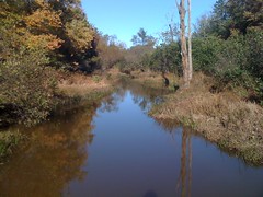  Tumbling Creek Wetland