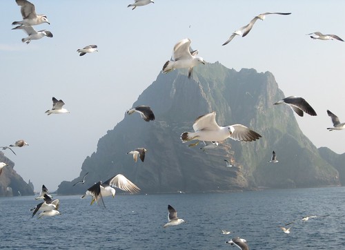 Disillusioned on Dokdo: Part I