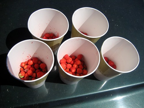 berries and cups