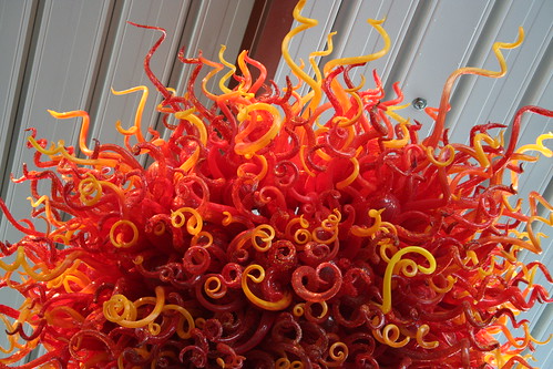 chihuly 019