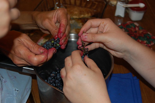 grape jam making