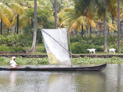 Kerala Backwater Sail with Goats