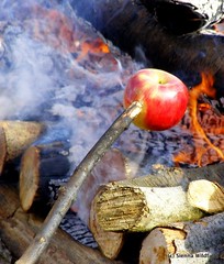 Roasting apples over an open fire