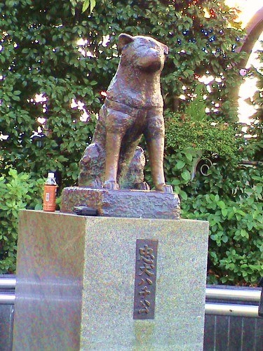 hachi dog statue (hachiko)