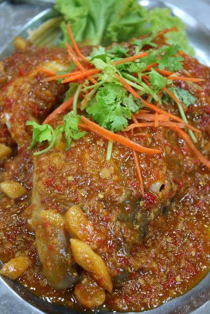 Red grouper head in sambal sauce