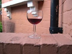 Wine glass, harringay passage