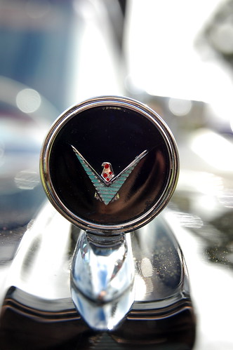 1959 Ford Skyliner Medallion (by Brain Toad Photography)