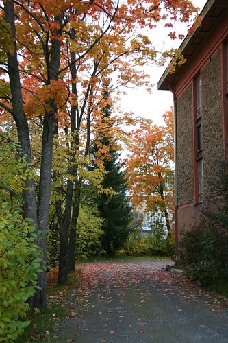 autumn in Seinäjoki