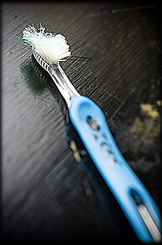 chewed-toothbrush