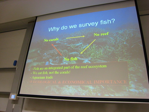 IMG_0127 fish survey