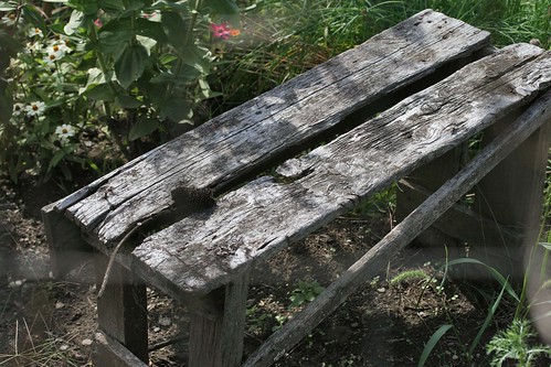 bench