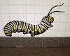 DSC01883 monarch larva subway