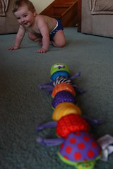 Q crawling at 9 months (3)