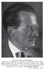Portrait of Erwin Schrödinger (1887-1961), Physicist