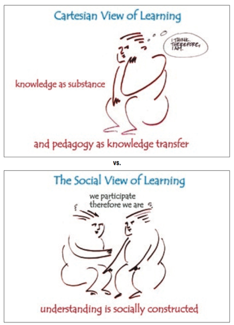 Cartesian vs. Social Learning