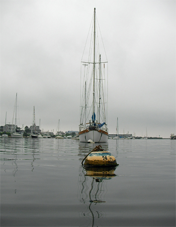 Falmouth Harbor Paddle... PAD #1185
