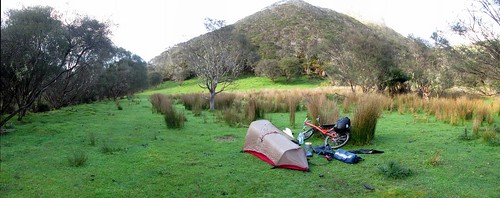 Camping in an old settler's clearing on the  Mangapurua Track, Whanganui National Park, New Zealand