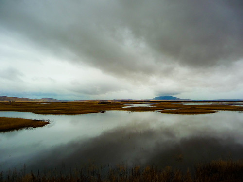 Rain - Klamath Basin National Wildlife Refuge