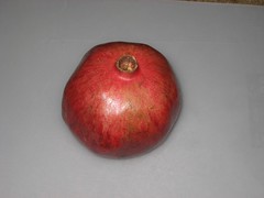 Step 0: Start with a pomegranate. (11/11/2008)