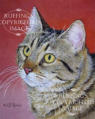 "Tabby Cat on Red" AER81 by A E Ruffing
