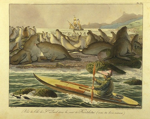 015- Vista de la isla de San Paul con leones marinos