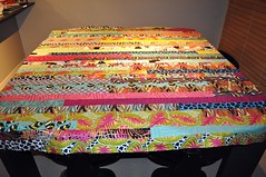 My Jelly Roll Race Quilt
