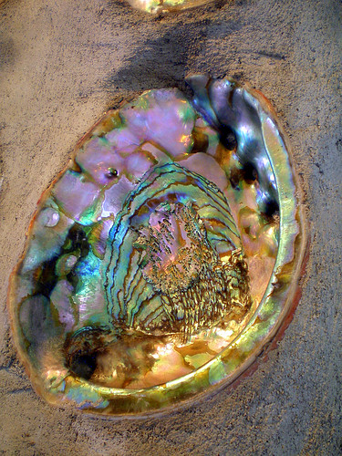 Detail of Embedded Abalone Shell, Fireplace in Brockton Villa, La Jolla, California