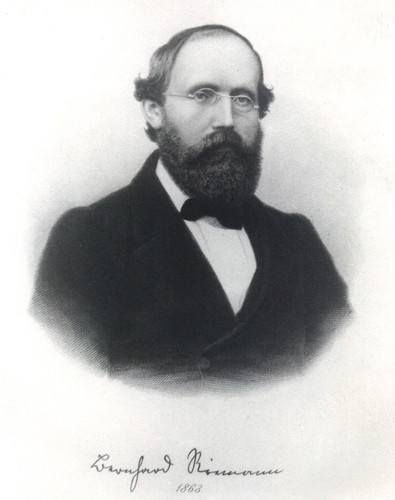 Portrait of Bernhard Riemann (1826-1866), Mathematician