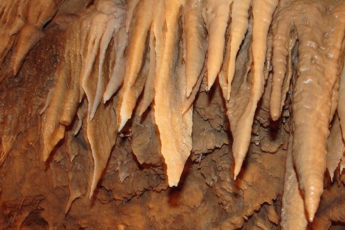 Shasta Caverns - 7052