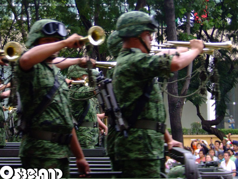 Desfile Militar 