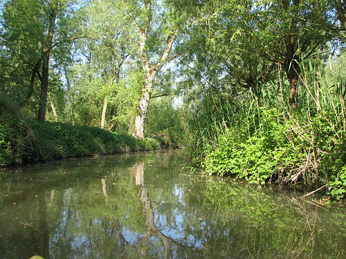 Canoe trail