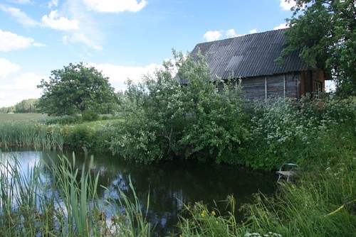 Holzhaus am Gartenteich