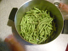 Green Beans From the Garden