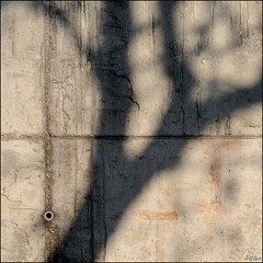 Schatten auf Beton / Shadow on Concrete