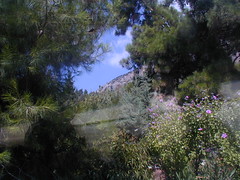 Near Delphi