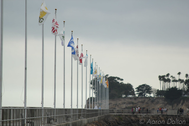 Flags Along Harbor Breakwater