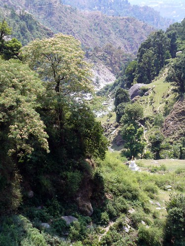 Vallée Himachal Pradesh