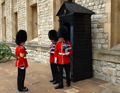 Canadian Grenadier Guards
