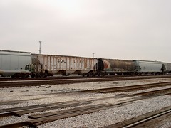 Soo Line and Canadian Pacific covered hopper cars. Chicago Illinois. November 2006.